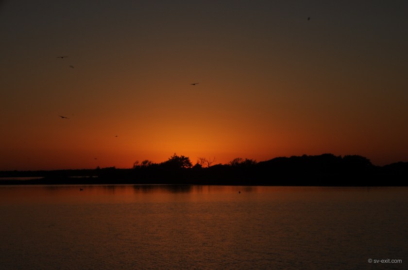 LejeunePelicanSunset