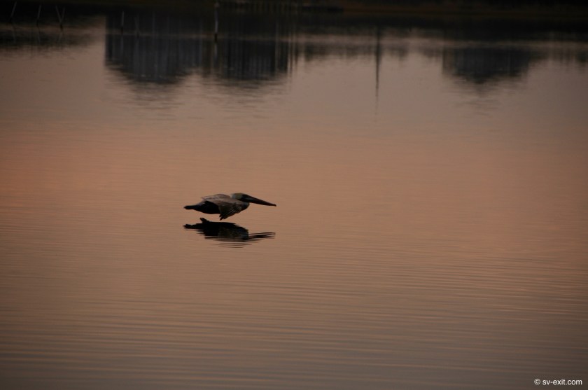 ICW to Wrightsville Beach, NC