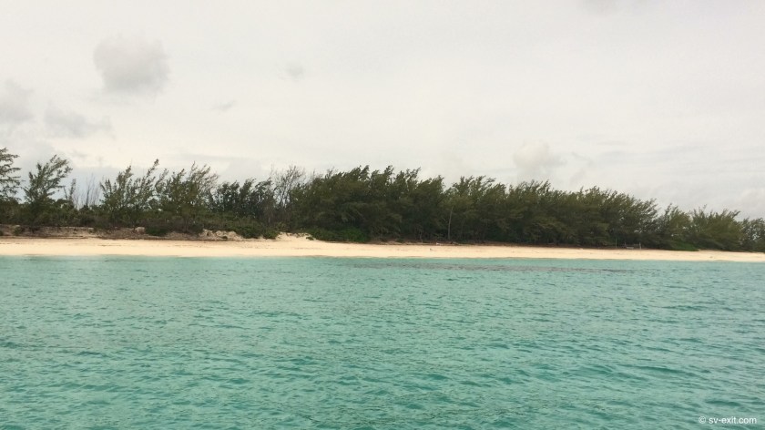 Rose Island