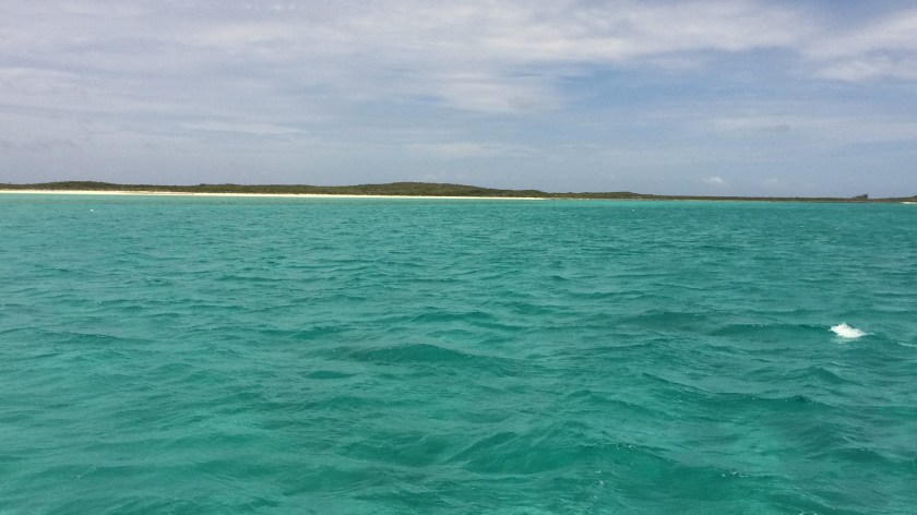 f3314048-9a2d-43a0-9332-34a0c6fb34e0